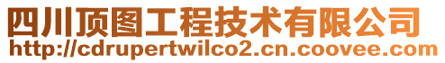 四川頂圖工程技術有限公司