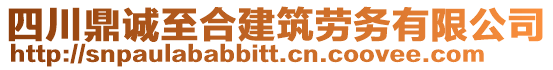 四川鼎誠至合建筑勞務(wù)有限公司