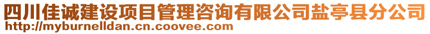 四川佳誠建設(shè)項目管理咨詢有限公司鹽亭縣分公司