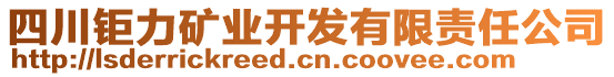 四川鉅力礦業(yè)開發(fā)有限責(zé)任公司