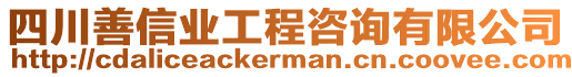 四川善信業(yè)工程咨詢有限公司