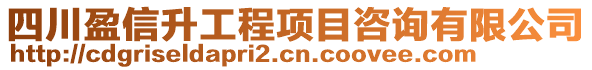 四川盈信升工程項目咨詢有限公司