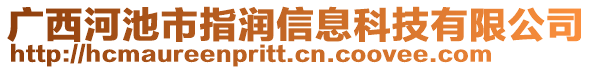 廣西河池市指潤(rùn)信息科技有限公司