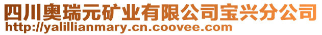 四川奧瑞元礦業(yè)有限公司寶興分公司