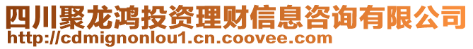 四川聚龍鴻投資理財信息咨詢有限公司