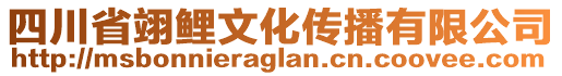 四川省翊鯉文化傳播有限公司