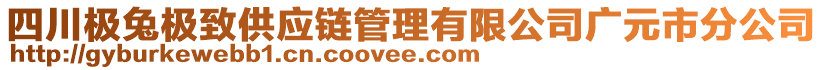 四川極兔極致供應(yīng)鏈管理有限公司廣元市分公司