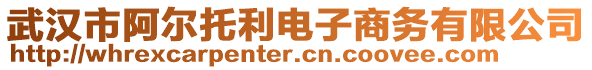 武漢市阿爾托利電子商務有限公司