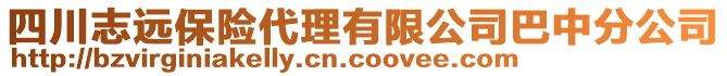 四川志遠(yuǎn)保險代理有限公司巴中分公司