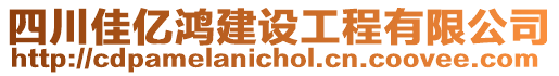 四川佳億鴻建設工程有限公司