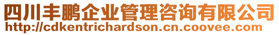 四川豐鵬企業(yè)管理咨詢有限公司