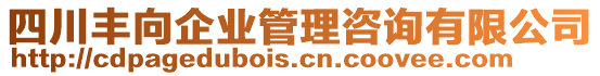 四川豐向企業(yè)管理咨詢有限公司