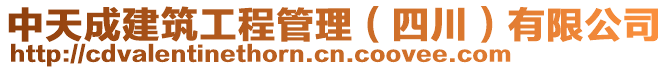 中天成建筑工程管理（四川）有限公司