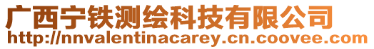 廣西寧鐵測繪科技有限公司