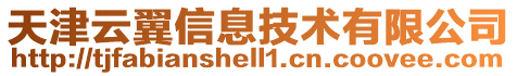 天津云翼信息技術(shù)有限公司