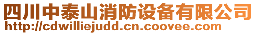 四川中泰山消防設備有限公司