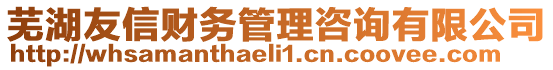 蕪湖友信財(cái)務(wù)管理咨詢有限公司