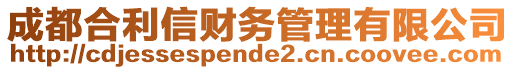 成都合利信財(cái)務(wù)管理有限公司