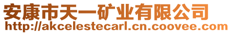 安康市天一矿业有限公司