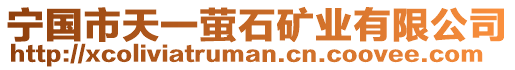 寧國(guó)市天一螢石礦業(yè)有限公司