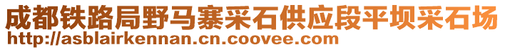 成都鐵路局野馬寨采石供應(yīng)段平壩采石場