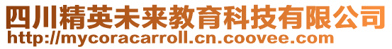 四川精英未來教育科技有限公司