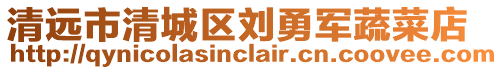 清遠(yuǎn)市清城區(qū)劉勇軍蔬菜店