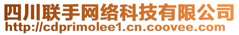 四川聯(lián)手網(wǎng)絡科技有限公司