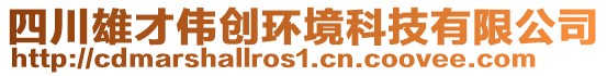 四川雄才偉創(chuàng)環(huán)境科技有限公司