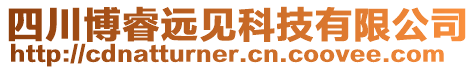 四川博睿遠(yuǎn)見科技有限公司