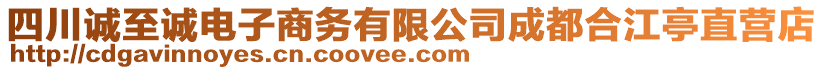 四川誠至誠電子商務(wù)有限公司成都合江亭直營店