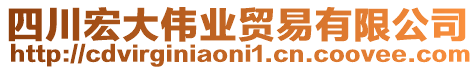 四川宏大偉業(yè)貿(mào)易有限公司