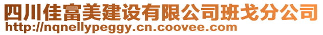 四川佳富美建設(shè)有限公司班戈分公司