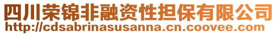 四川榮錦非融資性擔保有限公司