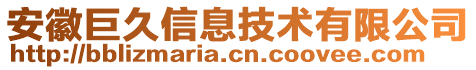 安徽巨久信息技術(shù)有限公司