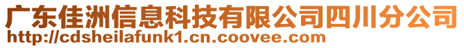 廣東佳洲信息科技有限公司四川分公司