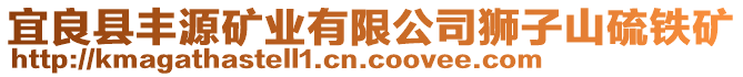 宜良縣豐源礦業(yè)有限公司獅子山硫鐵礦