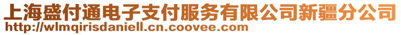 上海盛付通電子支付服務有限公司新疆分公司