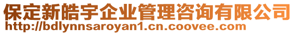 保定新皓宇企業(yè)管理咨詢有限公司