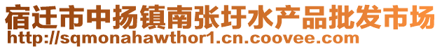 宿遷市中揚(yáng)鎮(zhèn)南張圩水產(chǎn)品批發(fā)市場