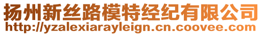 揚(yáng)州新絲路模特經(jīng)紀(jì)有限公司