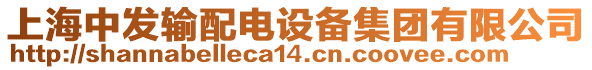 上海中發(fā)輸配電設(shè)備集團(tuán)有限公司