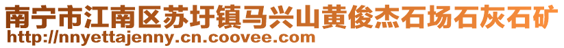 南宁市江南区苏圩镇马兴山黄俊杰石场石灰石矿