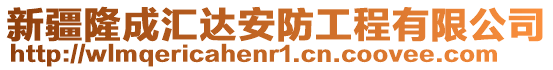 新疆隆成汇达安防工程有限公司