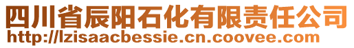 四川省辰陽(yáng)石化有限責(zé)任公司