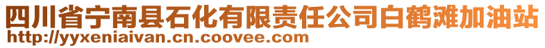 四川省寧南縣石化有限責任公司白鶴灘加油站