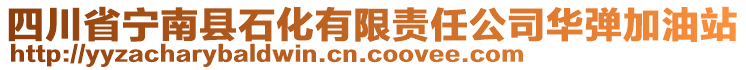 四川省寧南縣石化有限責(zé)任公司華彈加油站