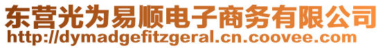 東營光為易順電子商務(wù)有限公司