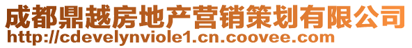 成都鼎越房地產(chǎn)營銷策劃有限公司