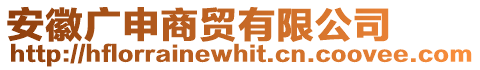 安徽廣申商貿有限公司